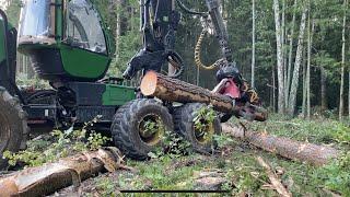 Конец июльской вахты,делянка в огнях,уделил немного внимания уборке