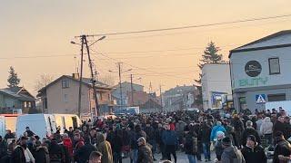 Gołębie pigeons NAJWIĘKSZY TARG W POLSCE - SKIERNIEWICE 09.03.25  ceny od 5 zł do 1000 zł 