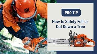 How to Safely Fell or Cut Down a Tree Using a Chainsaw | Husqvarna