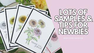 Best Beginner Handmade Card Design for 2024 | Many Tips For Newbies