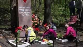 Никитинское сельское поселение Орловской обл.