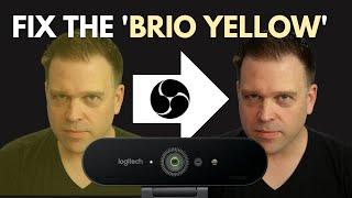 Logitech BRIO Color Correction in OBS: Step by Step Guide