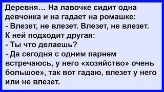 Как одна девушка на ромашке гадала? Сборник! Клуб анекдотов!