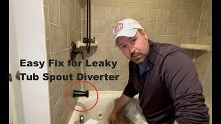 Leaky Tub Spout Diverter