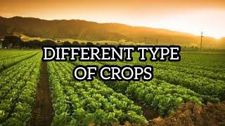 Different Type Of Crops Explain In Biology।2024।... Study Time 24