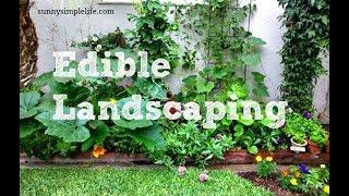 Edible Landscaping The Permaculture Way