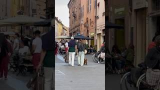 Walking tour of Ferrara in Italy#shortvideo #italy #travel #wolking #ferrara