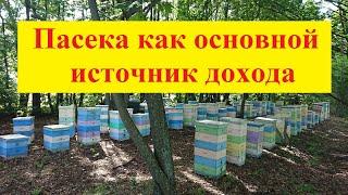 Пасека как основной источник дохода