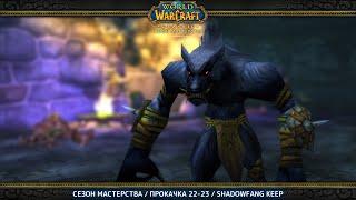 "Сезон мастерства" WoW Classic #9 | Маг. Кач. | Сервер Dreadnaught