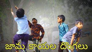 village lo జామ కాయల దొంగలు||my village comedy||village ultimate comedy||suraj and dhanush comedy