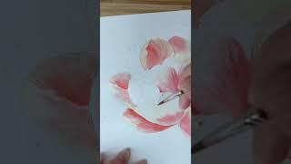 Painting botanical illustration of peonies with watercolor #watercolortutorial #artwork #shortsvideo