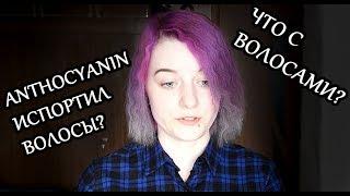 АНТОЦИАНИН | ИСПОРТИЛА ВОЛОСЫ КРАСКОЙ ? | ЧТО С МОИМИ ВОЛОСАМИ ANTHOCYANIN