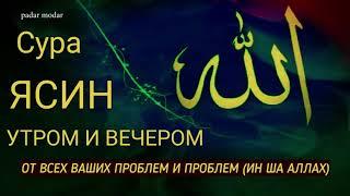 Сура Ясин سورة يس  проблемы будут решены у того, кто прочтет эту Суру Ин ША Аллаh