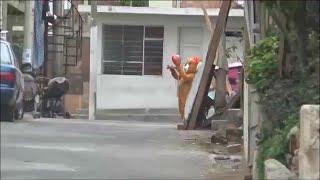 Watch officer dressed as teddy bear capture drug dealer