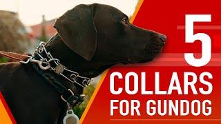 Choose The Right Collar For Your Gundog