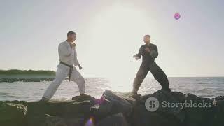 Cobra Kai Creators Reveal Mr  Miyagi