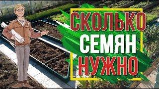 Сколько нужно семян на посадку ️ Как Расчищать Количество Семян ️ Советы Садоводам от Garden zoo