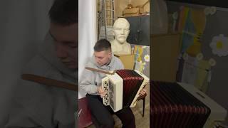 ПРЕКРАСНОЕ ИСПОЛНЕНИЕ️СМОТРЕТЬ ВСЕМ! #рекомендации #гармонист