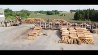 Scierie Lefebvre Hêtre PEFC – Lefebvre Sawmill PEFC Beech – Groupe Lefebvre