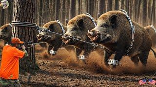 Trapped Wild Boar Struggles Madly - Hunter Cautiously Approaches And Takes It Down With Perfect Shot