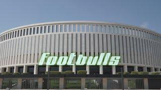 FootBulls