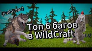 Топ 6 Багов в WildCraft