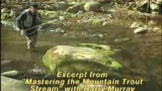 Mastering Mountain Trout Streams