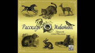 Эрнест Сетон-Томпсон – Рассказы о животных. [Аудиокнига]