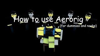 DvN: how to use Aerorig