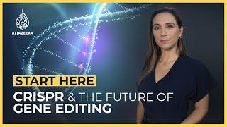 CRISPR: What is the future of gene editing? | Start Here