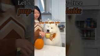 My dog loves his dairy-free pup-kin spice latte!  Use code OLAF20 to save on @NativePet