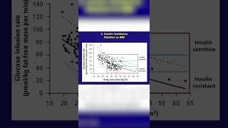 Robert Lustig: Is there a cause and effect between obesity, high BMI and insulin resistance??