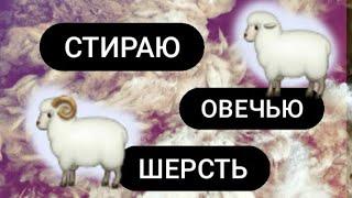 КАК СТИРАТЬ ОВЕЧЬЮ ШЕРСТЬ// МОЙ ОПЫТ