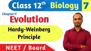 Hardy Weinberg Principle | Allele frequency | Gene Pool | Evolution | Class 12 Biology