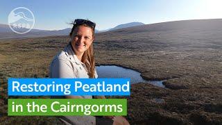 High in the Cairngorms RSPB Scotland is working to restore peatland for nature and the climate