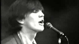 Wayne Fontana & The Mindbenders - "The Game Of Love" - Live 1965