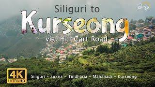 Siliguri to Kurseong | Hill Cart Road | Sukna, Tindharia, Mahanadi, Giddha Pahar | 4K Drive