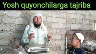 Jaydari quyon/  Жайдари Куйон фойда ва зарарлари / Плюси и минусы смещенных кроликов