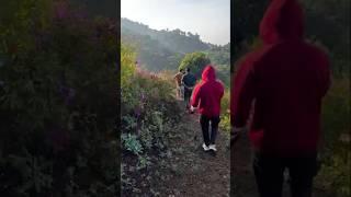Munnar trekking