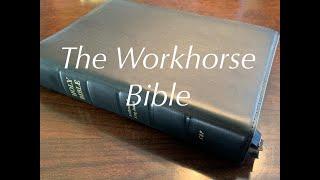 The Workhorse Bible