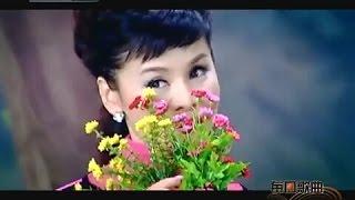 苏联歌曲《红莓花儿开》 Ой цветет калина - 中文版