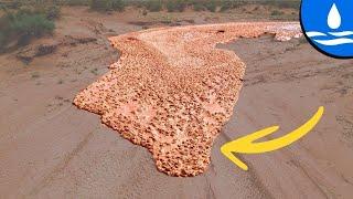 MUD & THUNDER -  Amazing n Weird Flash Flood Videos from Arizona