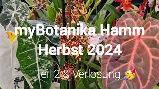 myBotanika Hamm Herbst 2024  | Teil 2 (mit Nebenraum) & Verlosung 