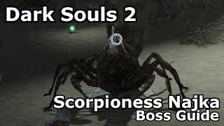 Dark Souls 2 - Scorpioness Najka Boss Kill Guide (DS2)