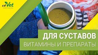 Препараты и витамины для суставов собак и кошек от cdVet