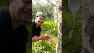 Soap Hacks You Didn't Know You Needed #skills #outdoors #camping #survival #bushcraft #lifehack