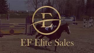 EF Elite Sales June 21 2025