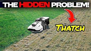 My Lawn Was DYING! The SHOCKING Hidden Problem (Dethatching Reveal)