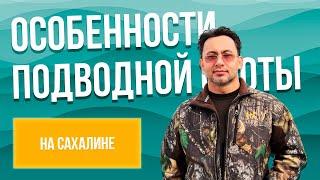 Мои заметки про подводную охоту на Сахалине