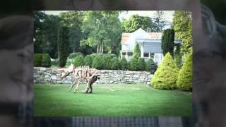 MOMIX in the Garden Slideshow 2015